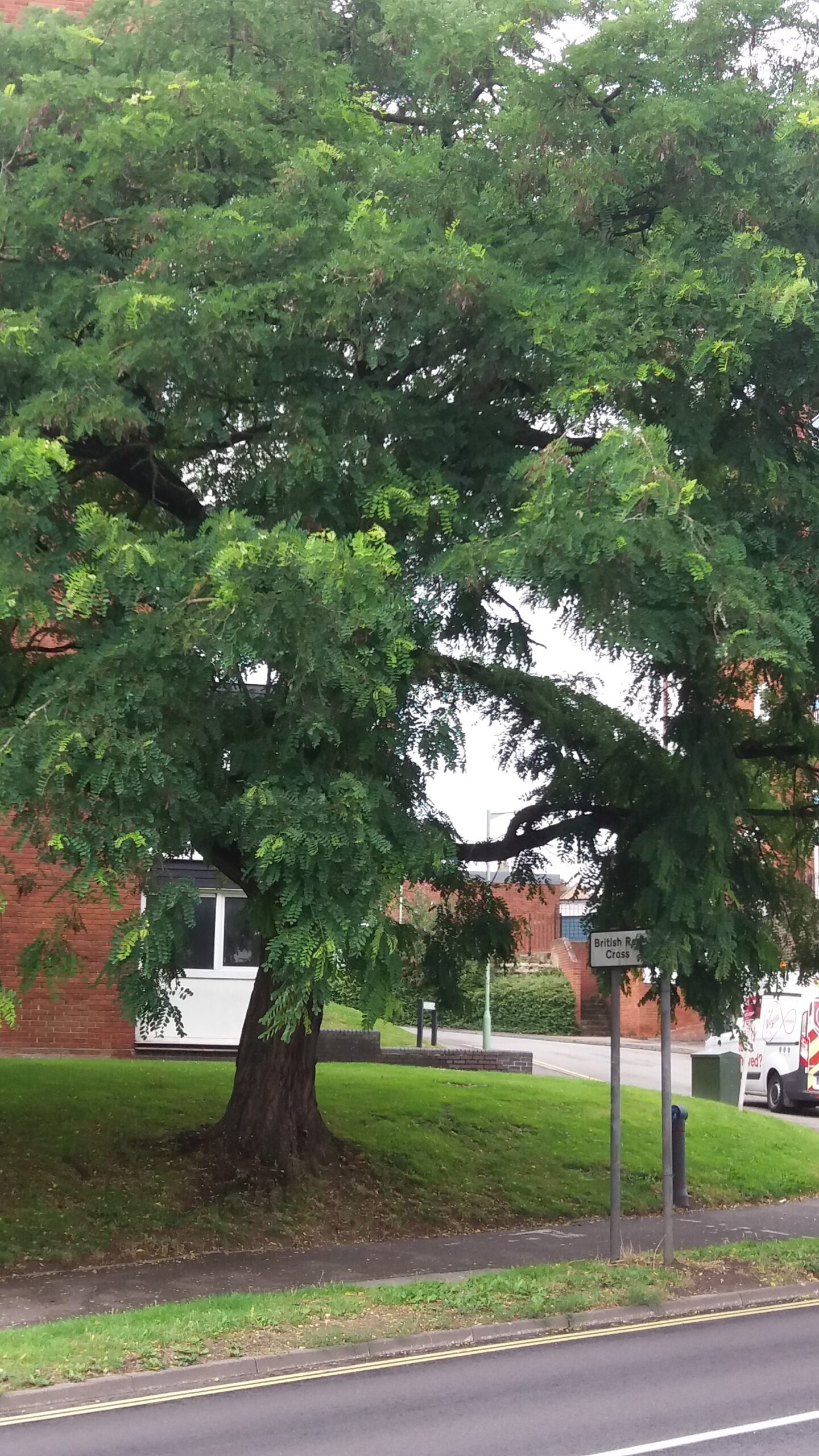 entrance to hypnotherapy newmarket office