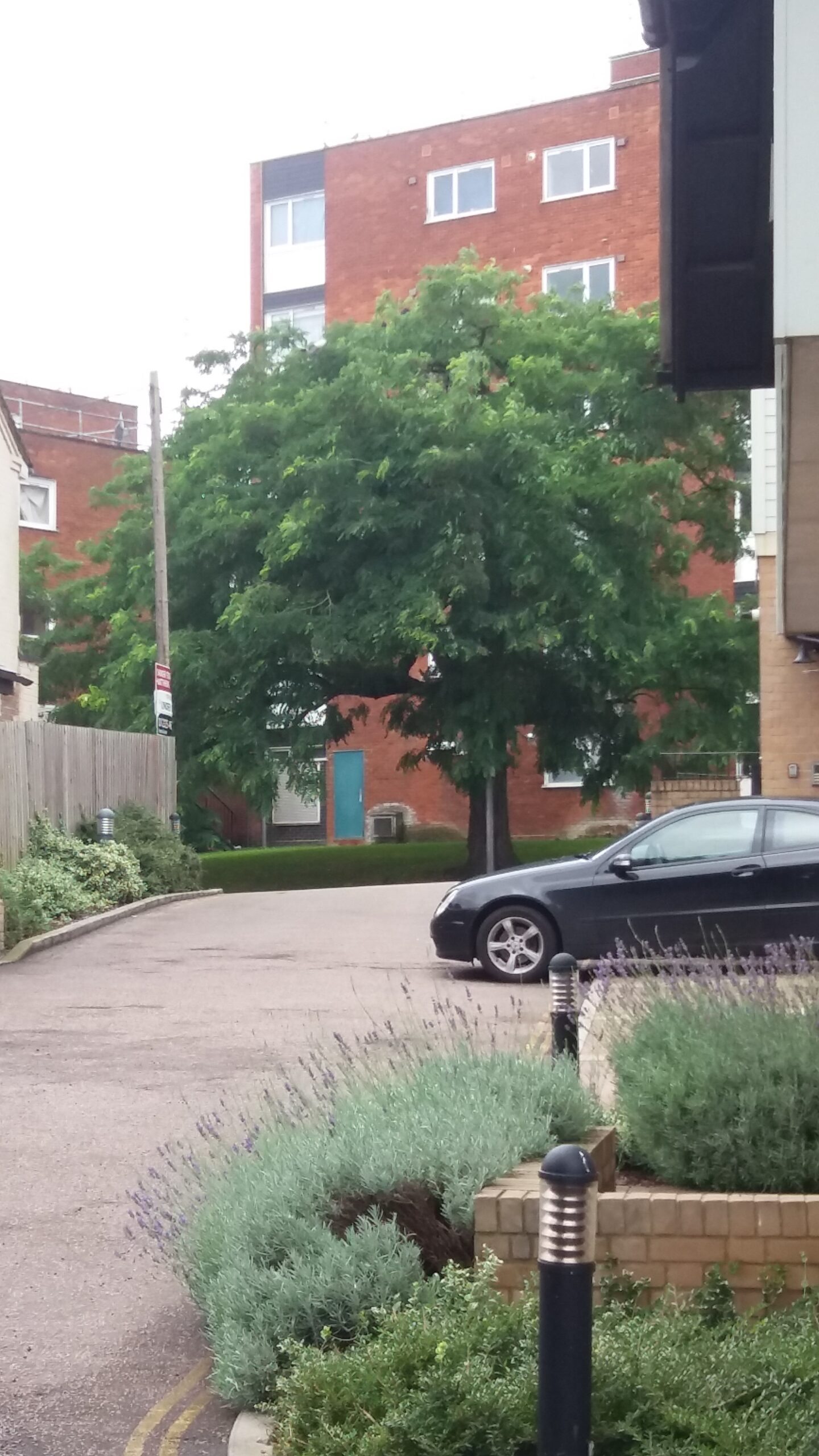 hypnosis in newmarket view from mill hill