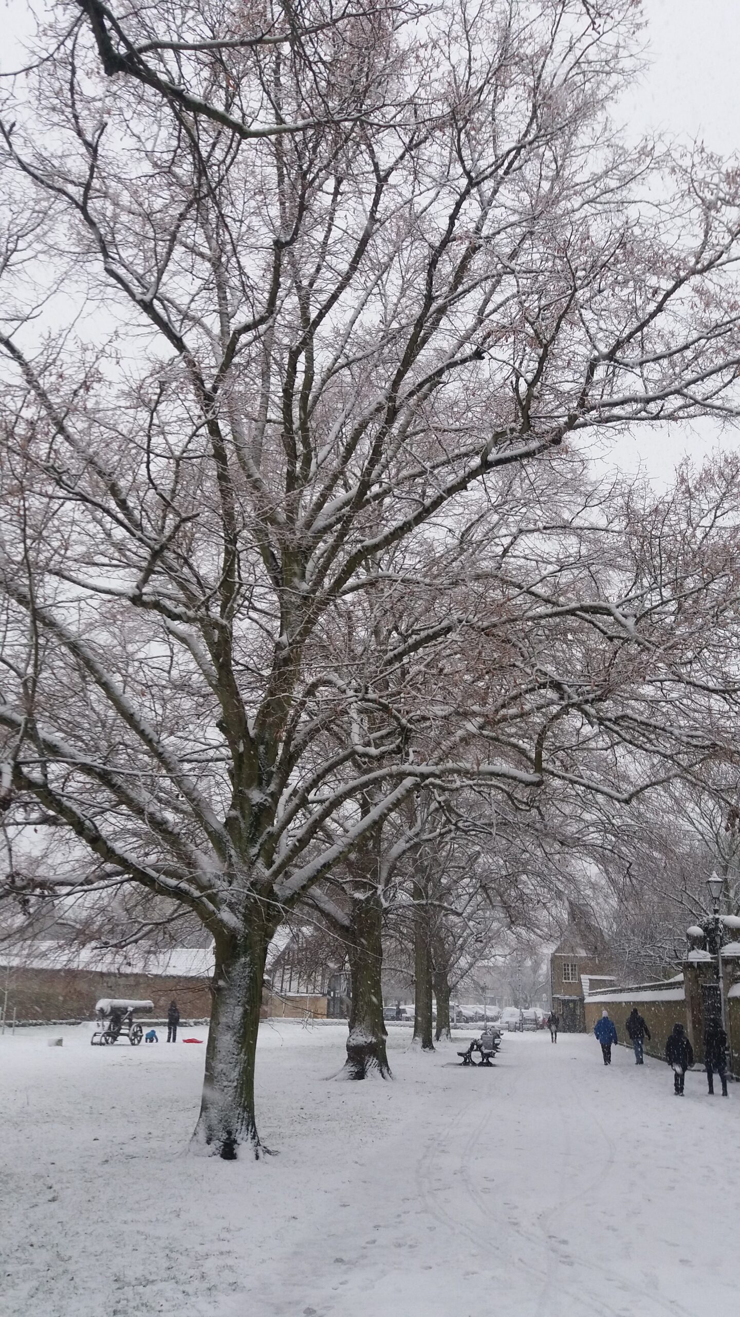 dan regan hypnotherapy ely mindfulness