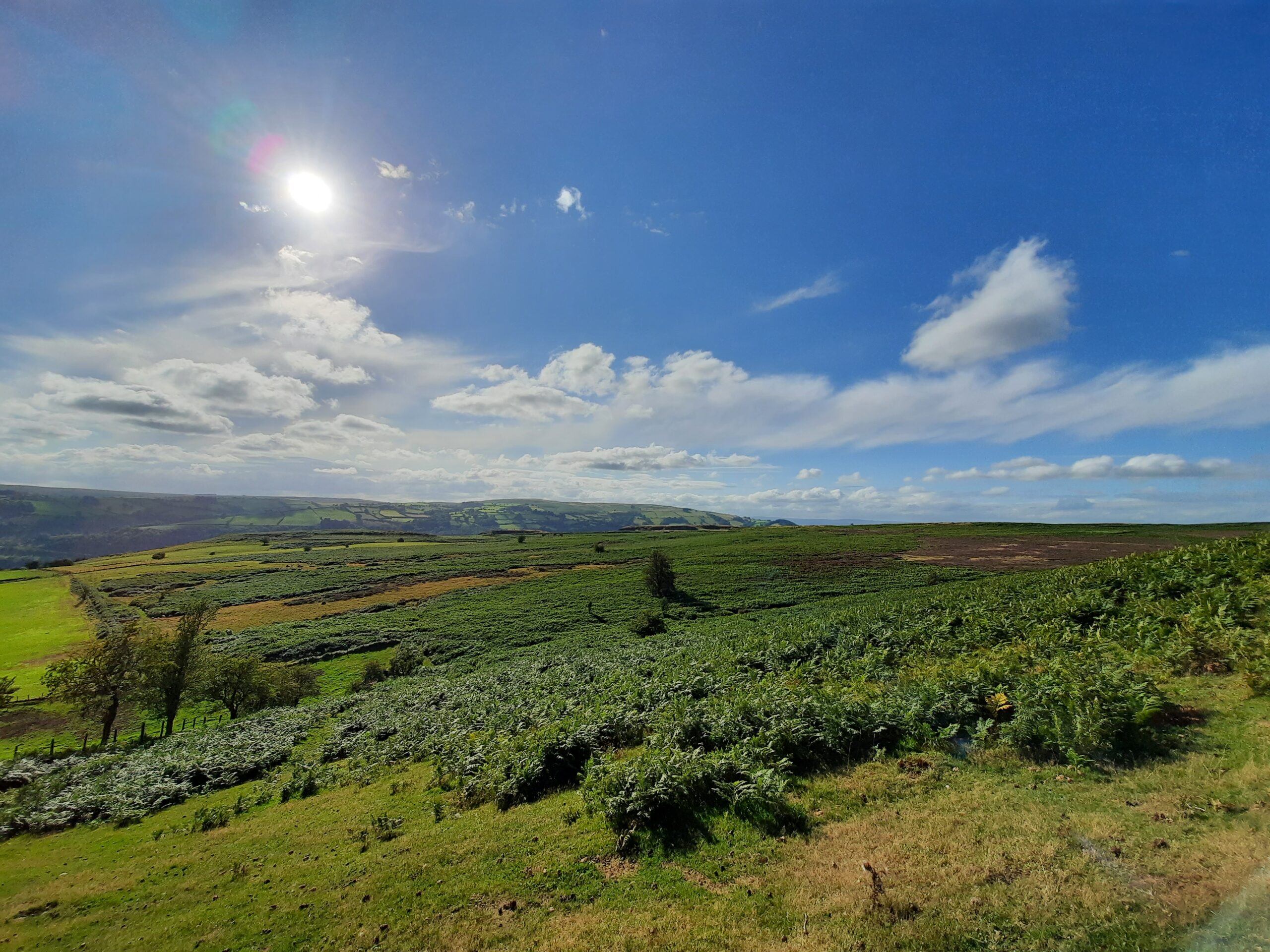 anxiety hypnotherapy in ely and newmarket