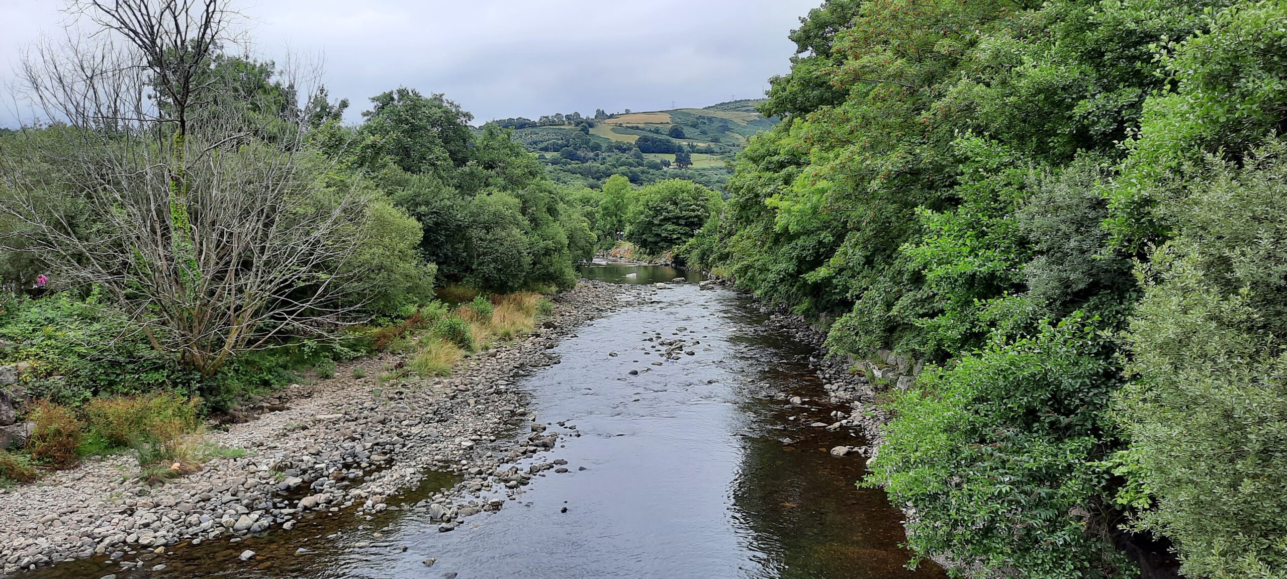 fears and phobias hypnotherapy ely